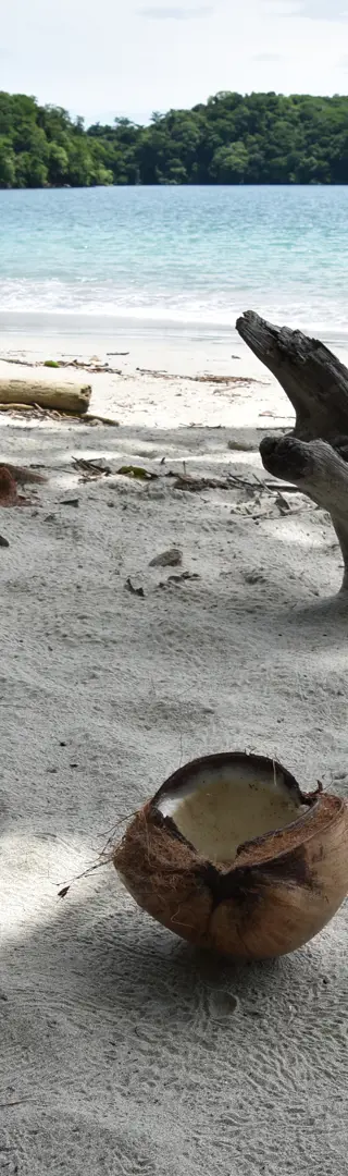 Die Inselwelt erkunden